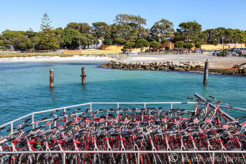 rottnest fremantle