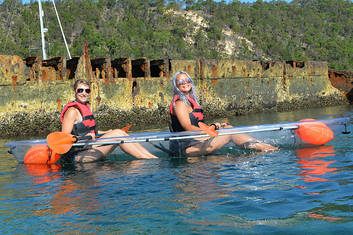 island tour moreton kayak clear tours