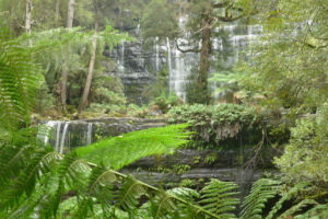 Rusell Falls in Mt Field National Park, Tasmania